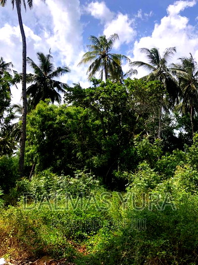 3/4 Acre Prime Land - Image 5