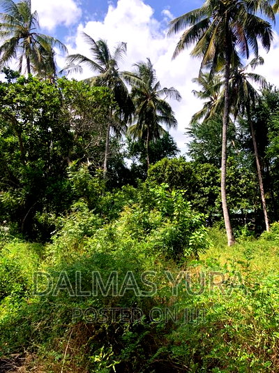 3/4 Acre Prime Land - Image 3
