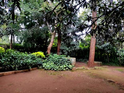 3bdrm Bungalow in Karen for rent - Image 2