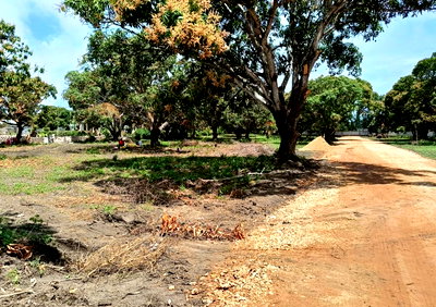 50x100 Garden Plot for KSh 2.8M