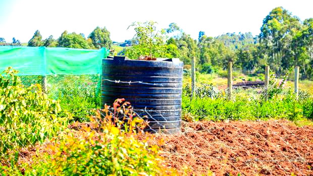 Prime Residential Plots for Sale in Kikuyu, Kamangu