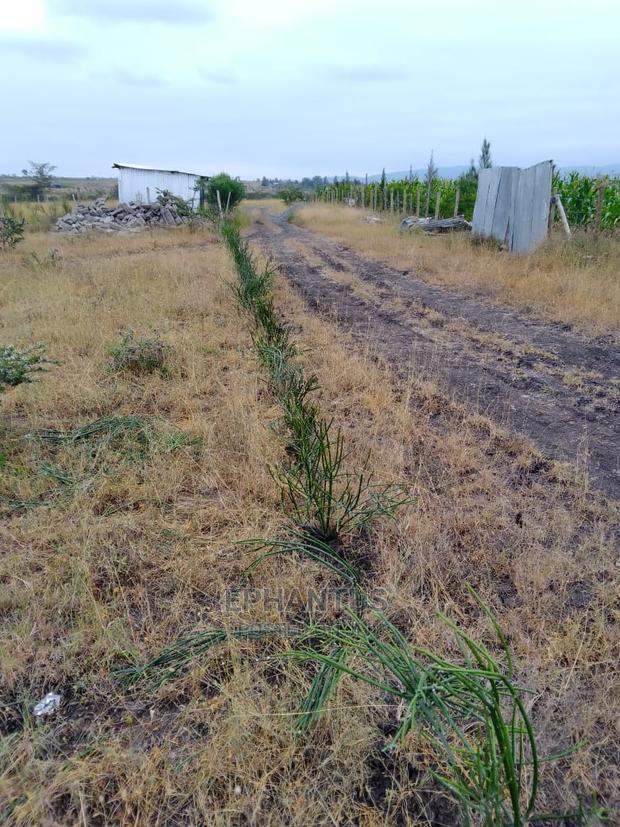 50 by 100 Plots in Makuyu