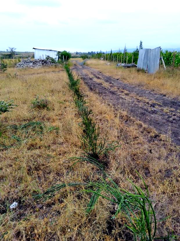 50 by 100 Plots in Makuyu