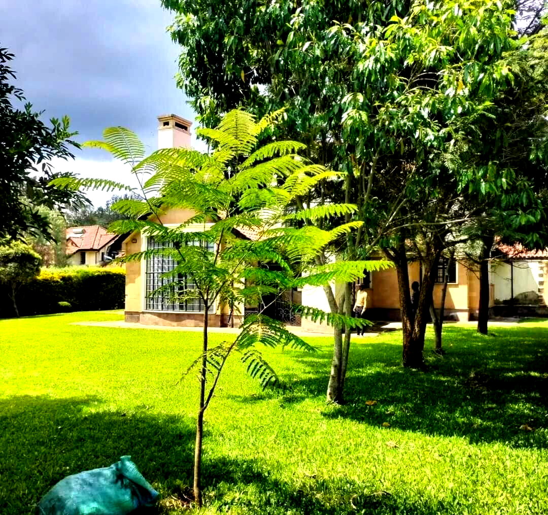 5-Ensuite Villa with Two Sitting Areas & DSQ – Miotoni, Karen