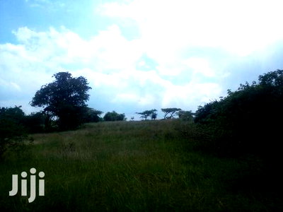 Thika 20.3 Acre Commercial/Industrial/ Multiple Dwelling Use - Image 4