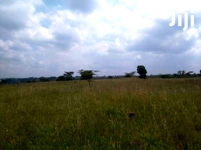 Thika 20.3 Acre Commercial/Industrial/ Multiple Dwelling Use - Image 8