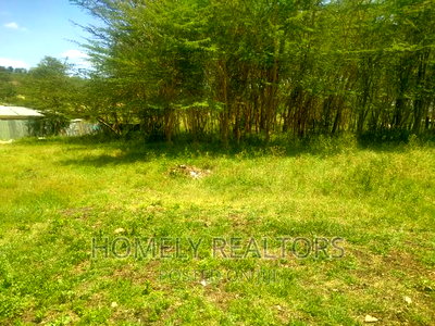 Quarter Acre Plot in Ngong Matasia 250 Meters From Tarmac - Image 5
