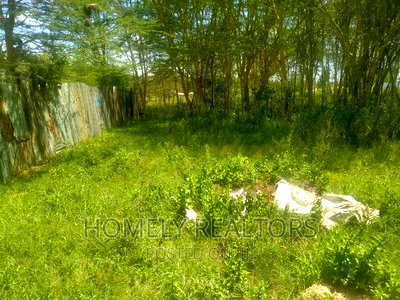 Quarter Acre Plot in Ngong Matasia 250 Meters From Tarmac - Image 4