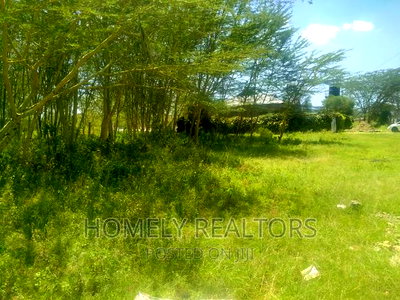 Quarter Acre Plot in Ngong Matasia 250 Meters From Tarmac - Image 3