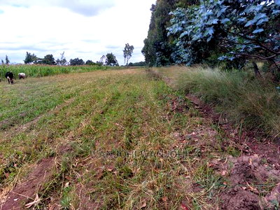 Prime 50/100 Plots in Olkalou - Image 1