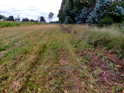 Prime 50/100 Plots in Olkalou - Image 2
