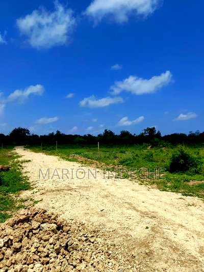 Malindi Affordable Plots for Sale - Image 5