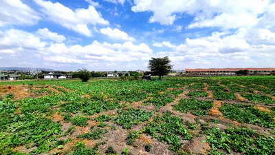 Athi River 10acre Near Graceland River Park Estates - Image 8