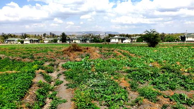 Athi River 10acre Near Graceland River Park Estates - Image 13