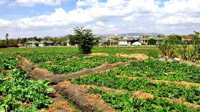 Athi River 10acre Near Graceland River Park Estates - Image 7
