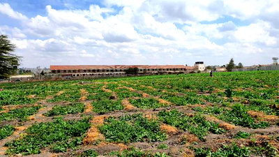 Athi River 10acre Near Graceland River Park Estates - Image 16