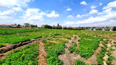 Athi River 10acre Near Graceland River Park Estates - Image 6