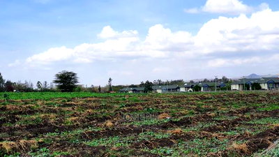 Athi River 10acre Near Graceland River Park Estates - Image 14