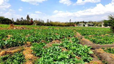 Athi River 10acre Near Graceland River Park Estates - Image 19