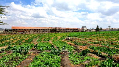 Athi River 10acre Near Graceland River Park Estates - Image 15