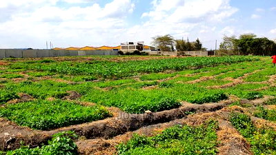 Athi River 10acre Near Graceland River Park Estates - Image 18