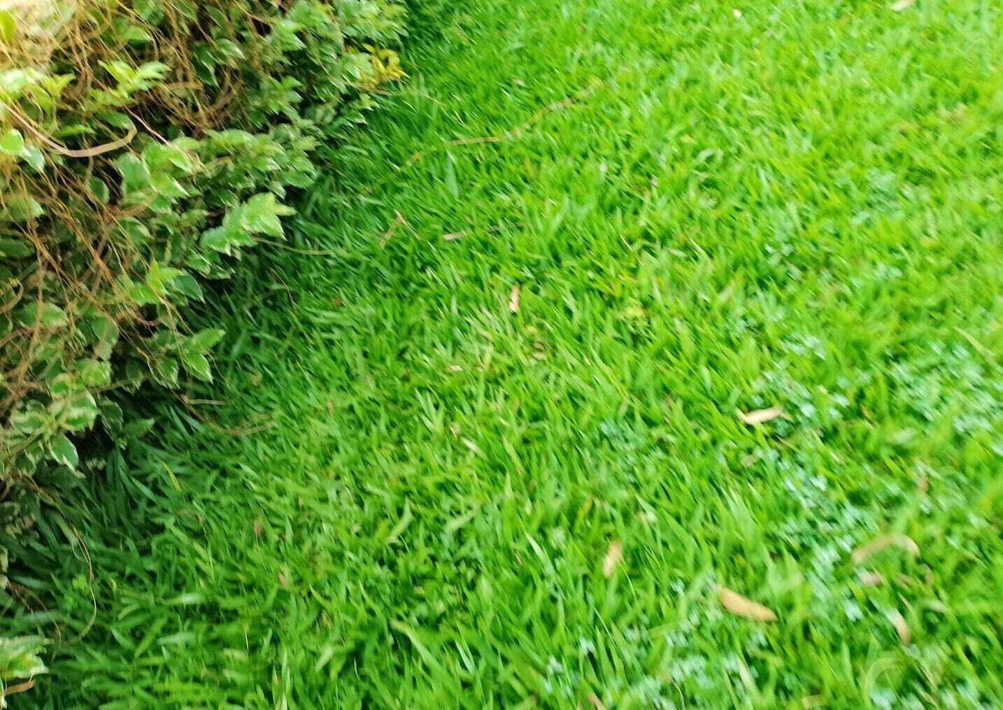 0.15 Acre Townhouse in Lavington