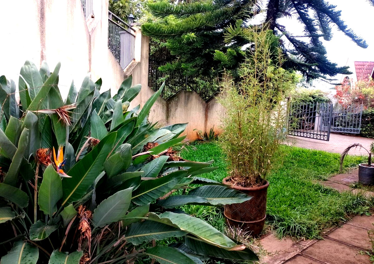 0.15 Acre Townhouse in Lavington