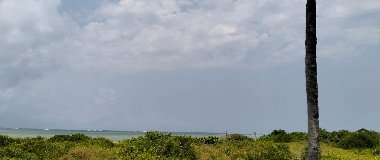 8.4-Acre Beachfront Estate in Watamu