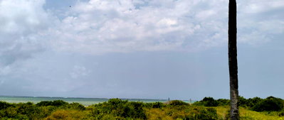 8.4-Acre Beachfront Estate in Watamu