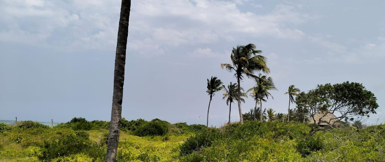 8.4-Acre Beachfront Estate in Watamu