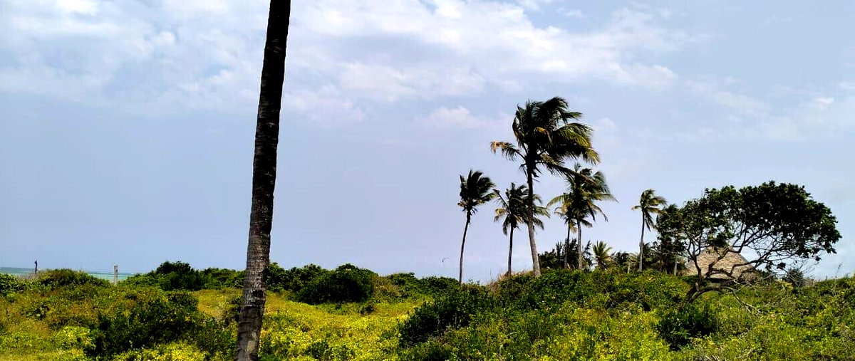 8.4-Acre Beachfront Estate in Watamu