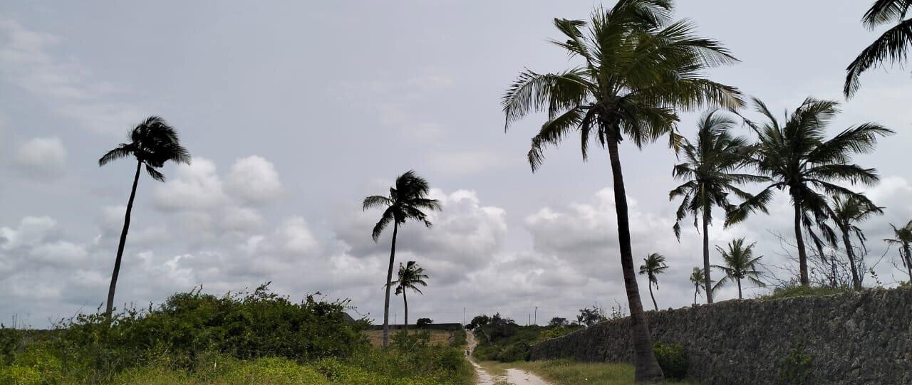 8.4-Acre Beachfront Estate in Watamu