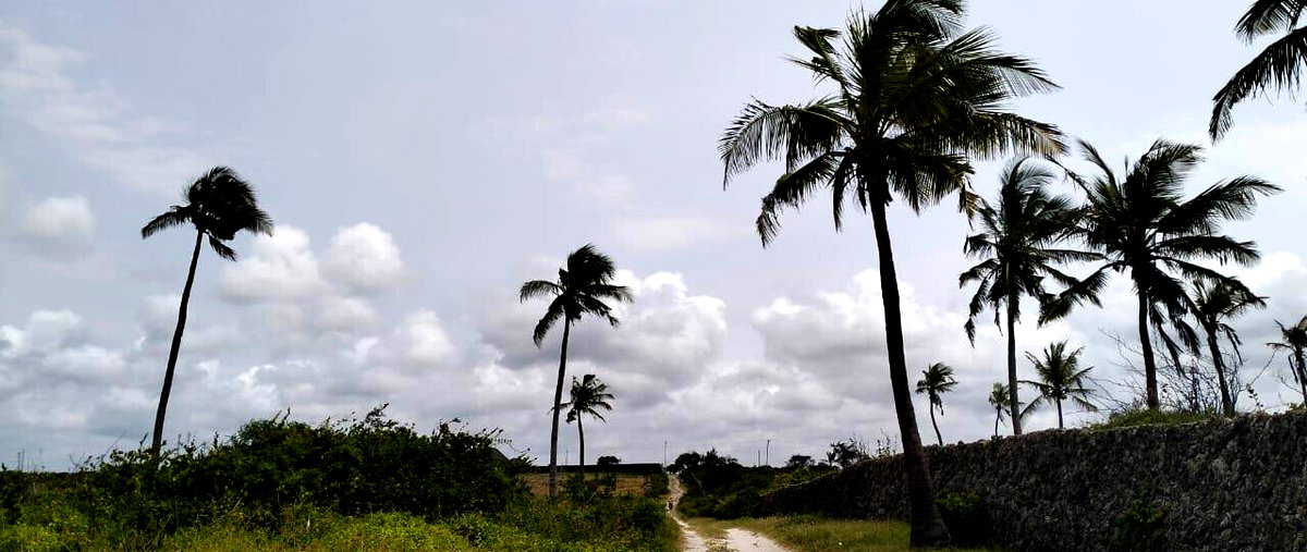 8.4-Acre Beachfront Estate in Watamu