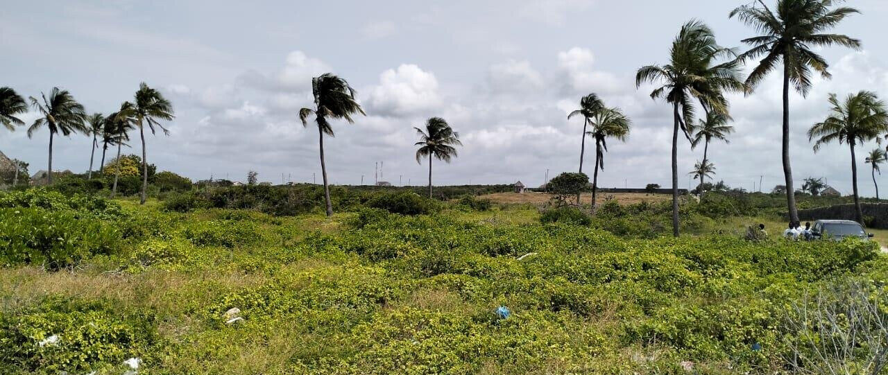 8.4-Acre Beachfront Estate in Watamu