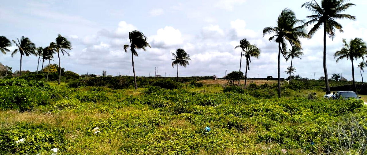 8.4-Acre Beachfront Estate in Watamu