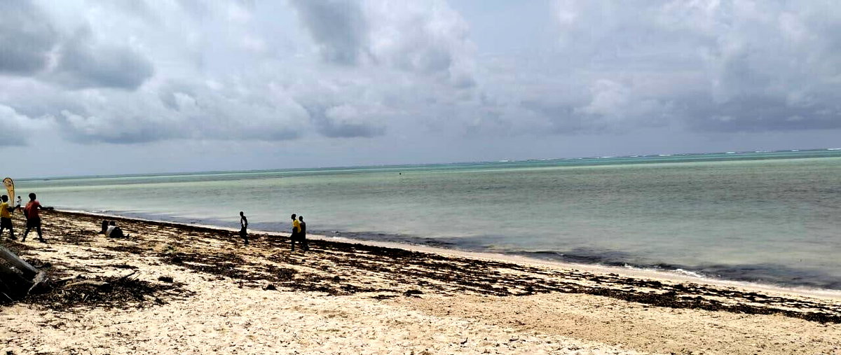 8.4-Acre Beachfront Estate in Watamu