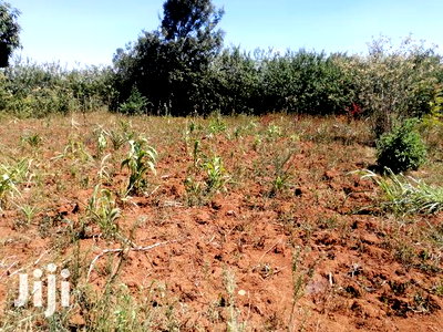 50x100 Ft Plo for Sale in Kikuyu Kamangu Kiambu County - Image 2