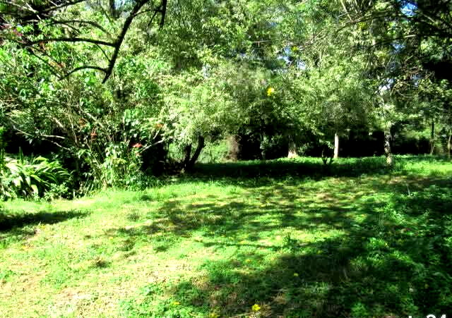 5.1-Acre Lower Kabete Plot at KSh 100M