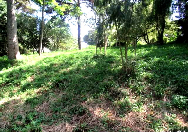 5.1-Acre Lower Kabete Plot at KSh 100M