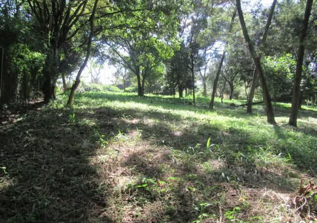 5.1-Acre Lower Kabete Plot at KSh 100M