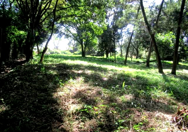 5.1-Acre Lower Kabete Plot at KSh 100M