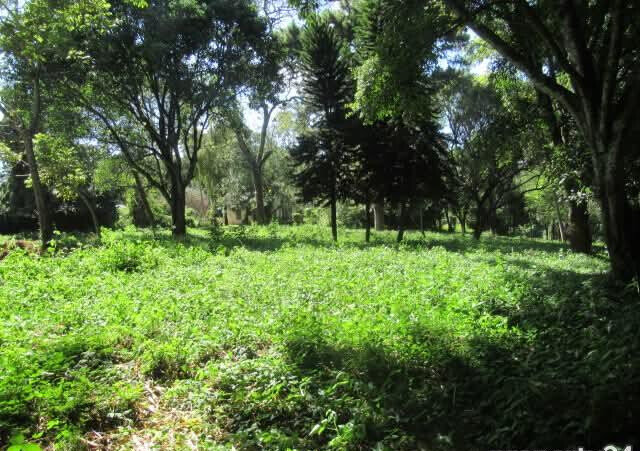 5.1-Acre Lower Kabete Plot at KSh 100M