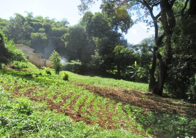 5.1-Acre Lower Kabete Plot at KSh 100M