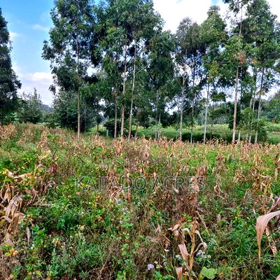 Prime 1/2 Acre Ngere Road, Ngong at 15m - Image 7
