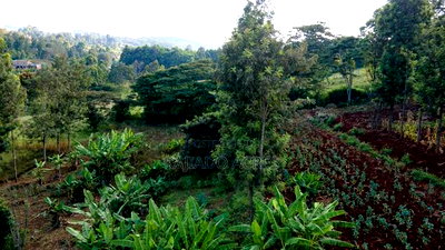 Prime 1/2 Acre Ngere Road, Ngong at 15m - Image 5