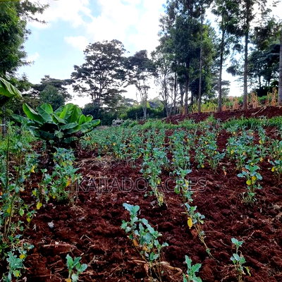 Prime 1/2 Acre Ngere Road, Ngong at 15m - Image 9
