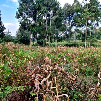 Prime 1/2 Acre Ngere Road, Ngong at 15m - Image 8