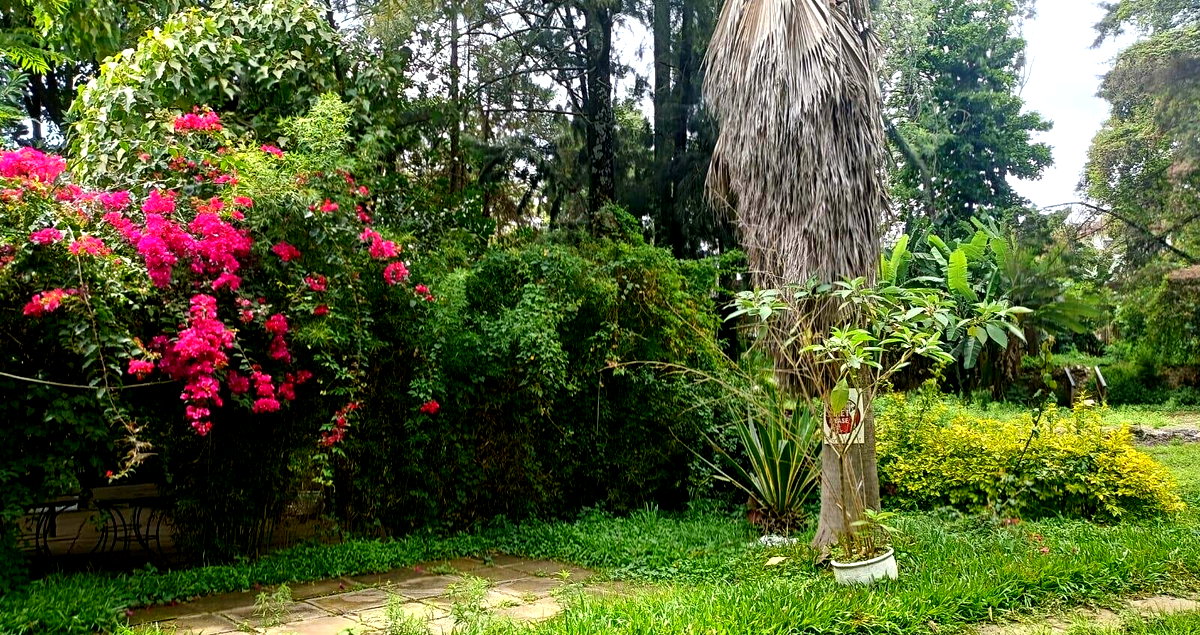 1-Acre Riverside Land at KSh 420M