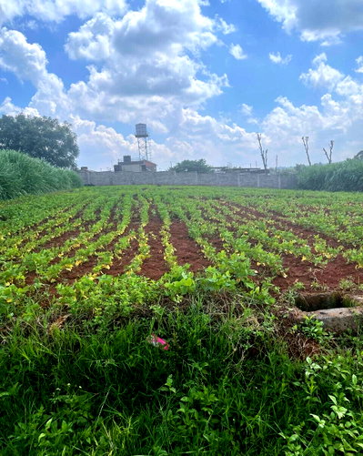 KSh 45M Runda Warehouse Deal
