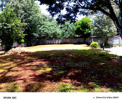 Land for Lease - Image 3